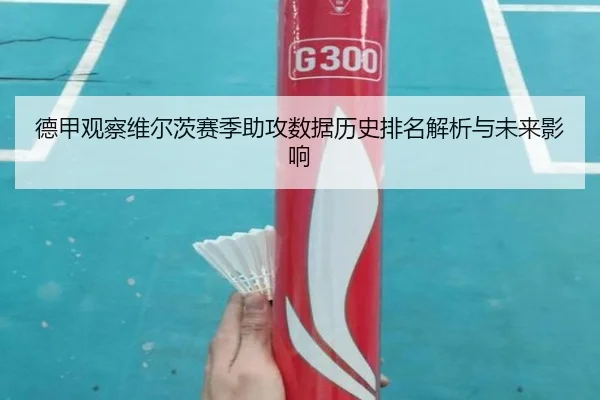 德甲观察维尔茨赛季助攻数据历史排名解析与未来影响