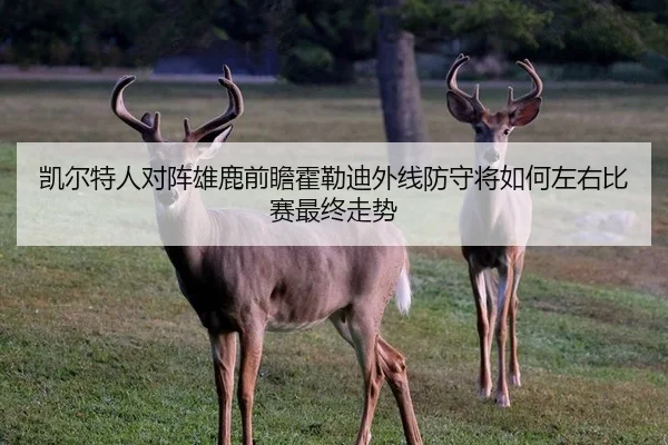 凯尔特人对阵雄鹿前瞻霍勒迪外线防守将如何左右比赛最终走势